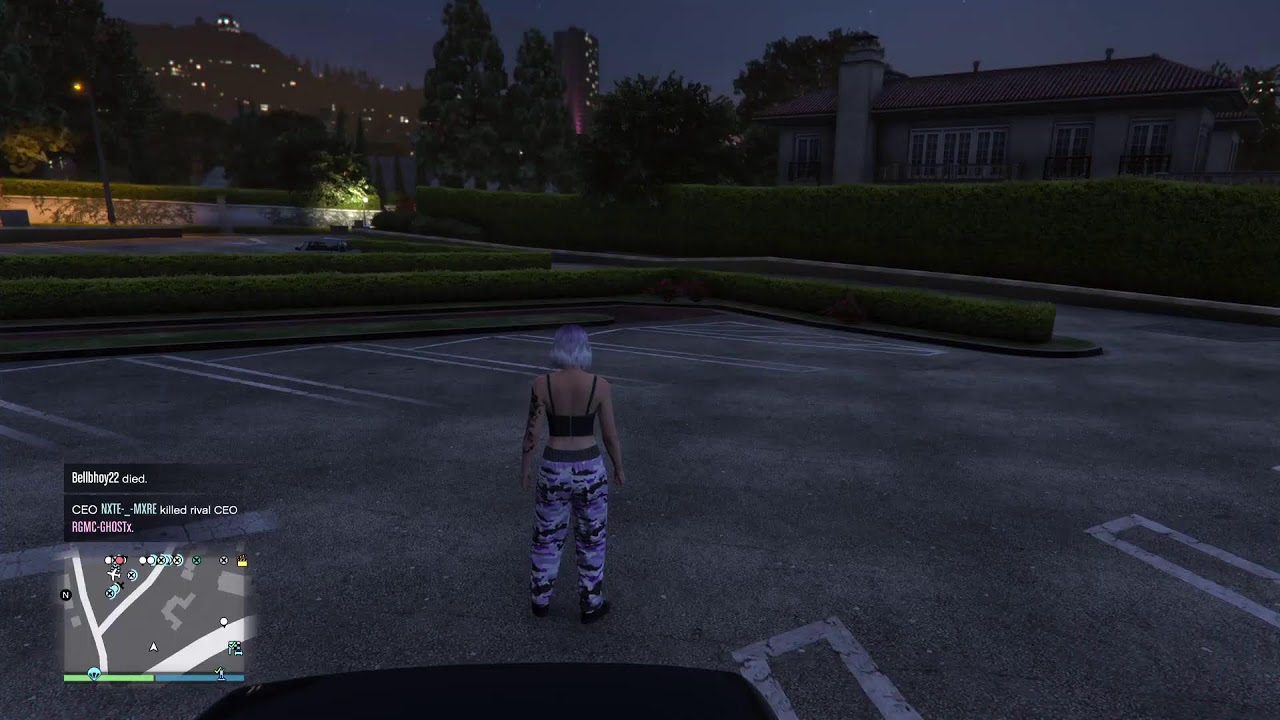 GTA CAR MEET CHAOS
