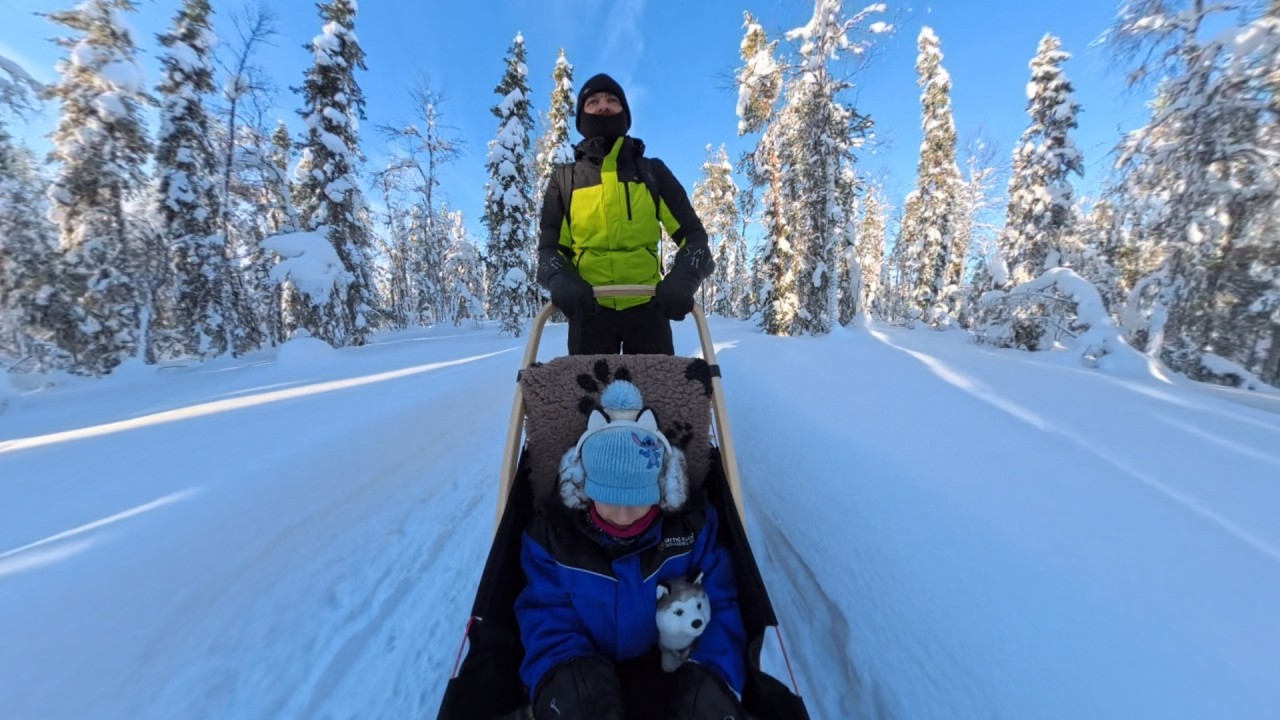 Husky Dog Ride - Levi, Finland 2026 (Cropped, Backward View)