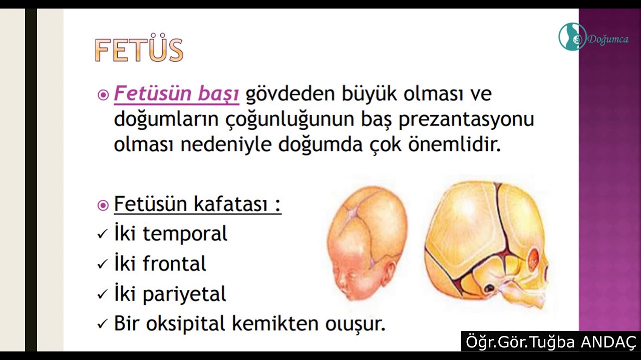 Doğum Eyleminde Rol Oynayan Faktörler