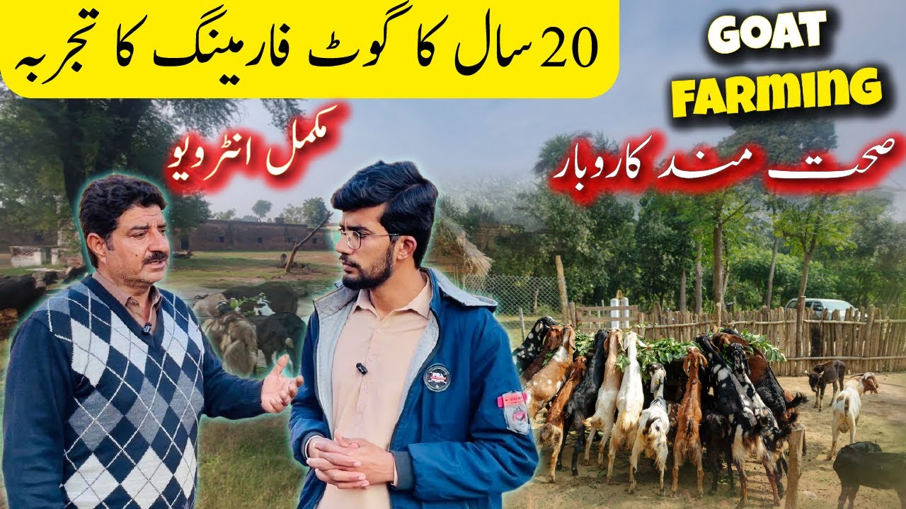 How to start Goat Farming in 2026 | Goat farming mein kitna profit ha? | Goat farming