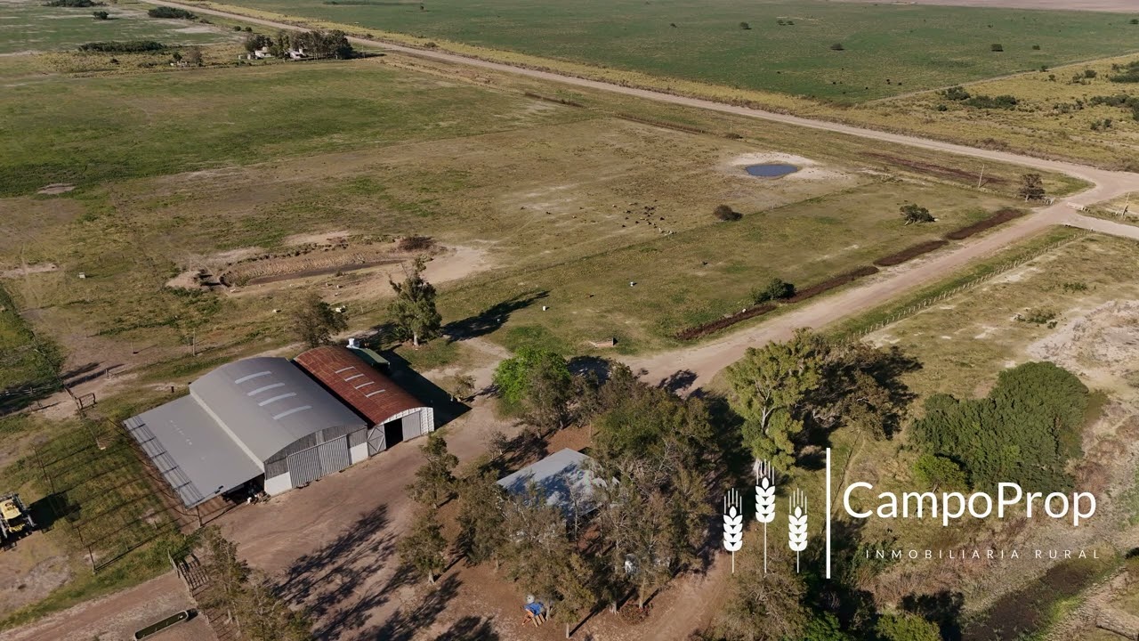 VENTA CAMPO DE 4.200 HAS PARA SIEMBRA ZONA 70 KM AL ESTE DE TOSTADO SANTA FE