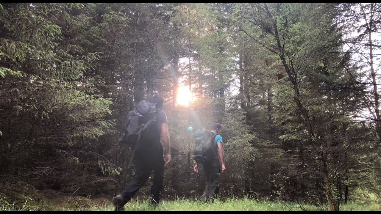 Hiking through the mighty Gisburn Forest, Cooking Steak in our Lodge! Bushcraft, trekking, nature