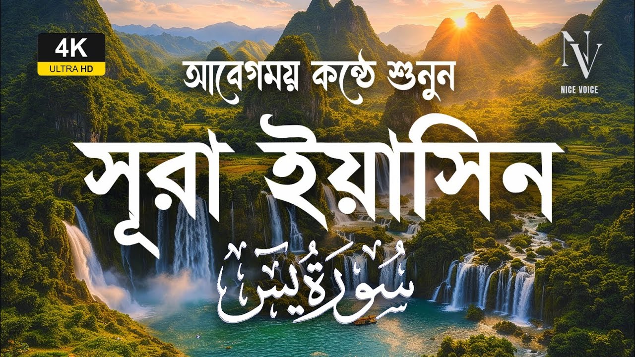আবেগময় কন্ঠে শুনুন সূরা ইয়াসিন 💞 | Surah Yaseen | Quran Tilawat | Alaa Aqel | Nice Voice