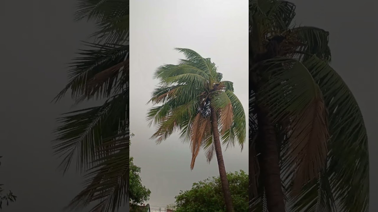 Weather Dumka