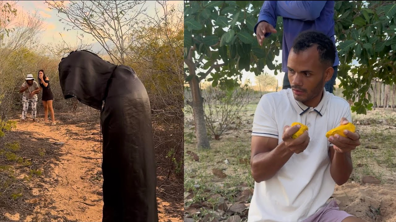 A Fazenda Assombrada-CAPITULO 02