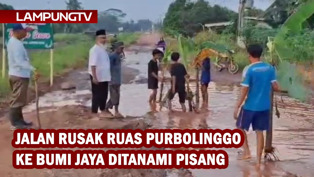 Jalan Rusak Ruas Purbolinggo ke Bumi Jaya Ditanami Pisang