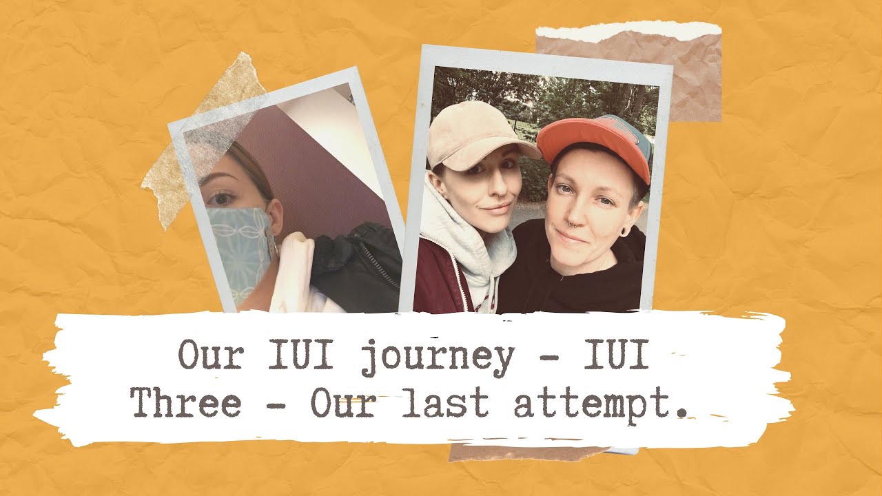 Our IUI Journey | IUI THREE | The Schoenberg Family - LESBIAN COUPLE TTC - SAME SEX COUPLE TTC