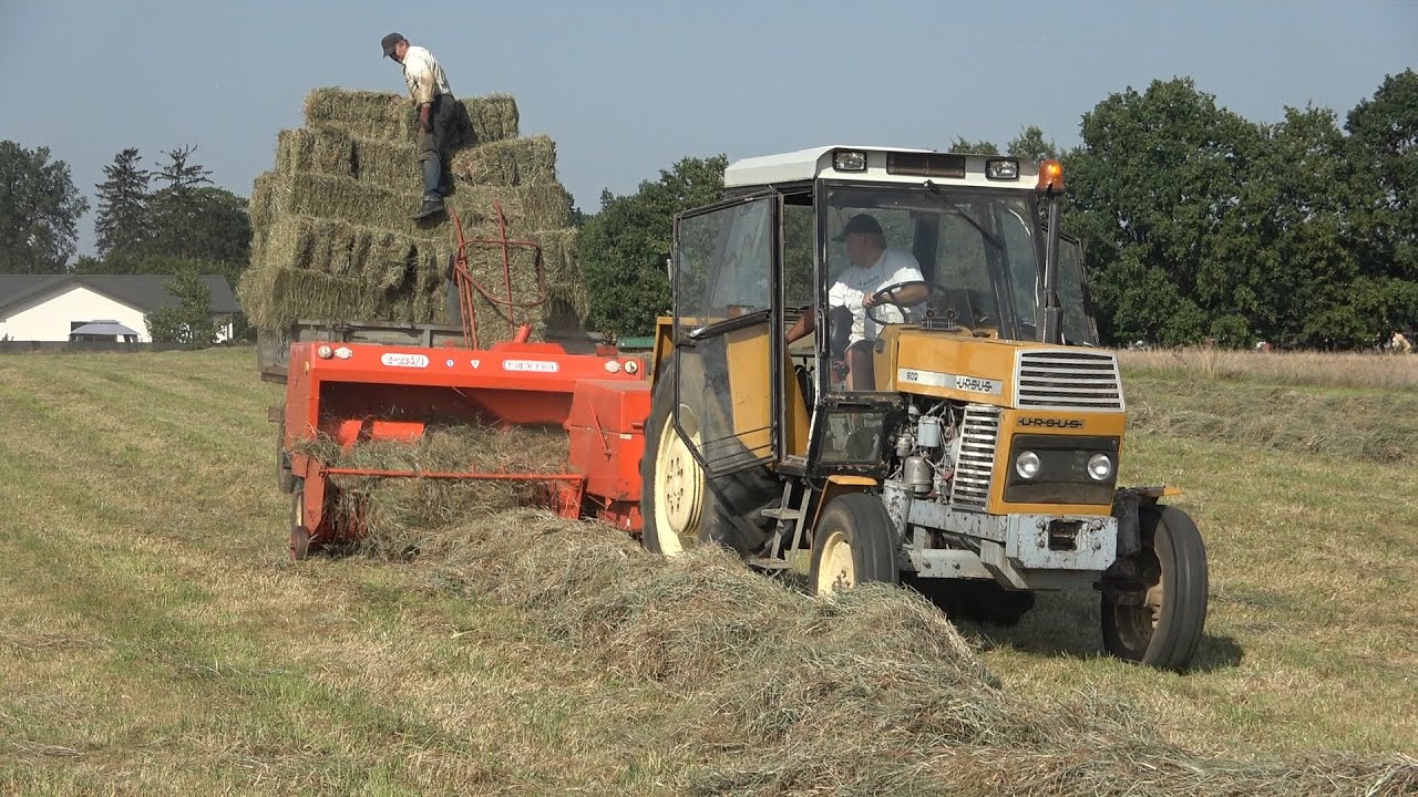 Prasowanie od razu na przyczepę Ursus 902 i Sipma Z-224/1