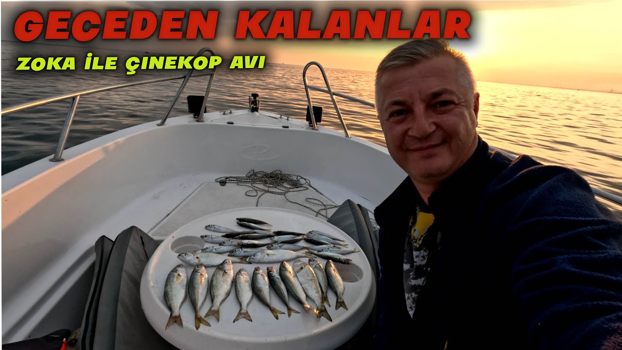 ZOKA İLE ÇİNEKOP AVI - GECE ÇİNEKOP AVI - KARADENİZ ÇİNEKOP AVI - ÇİNEKOP AVI NASIL YAPILIR ?