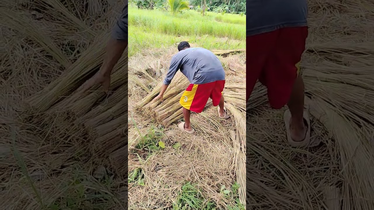 #guys Buhay probensya ganito ang Trabaho sa mindoro Gloria oriental 