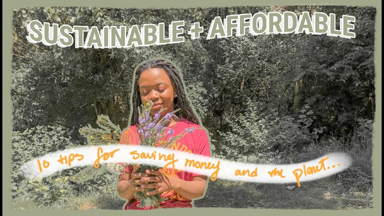 SUSTAINABLE LIVING ON A BUDGET: 10 eco friendly tips to save money while saving the planet