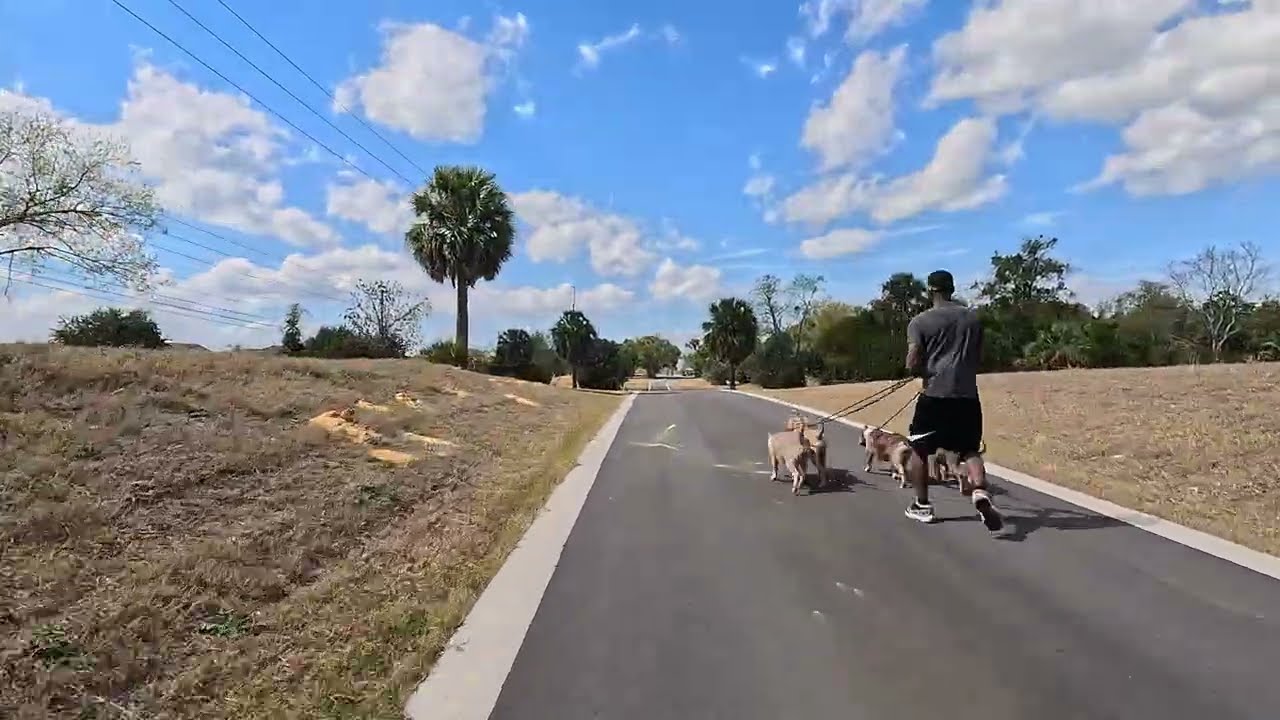 Sneak Peek of The Lake Apopka Connector Trail. Shot in 4k HDR. Feb 16, 2026