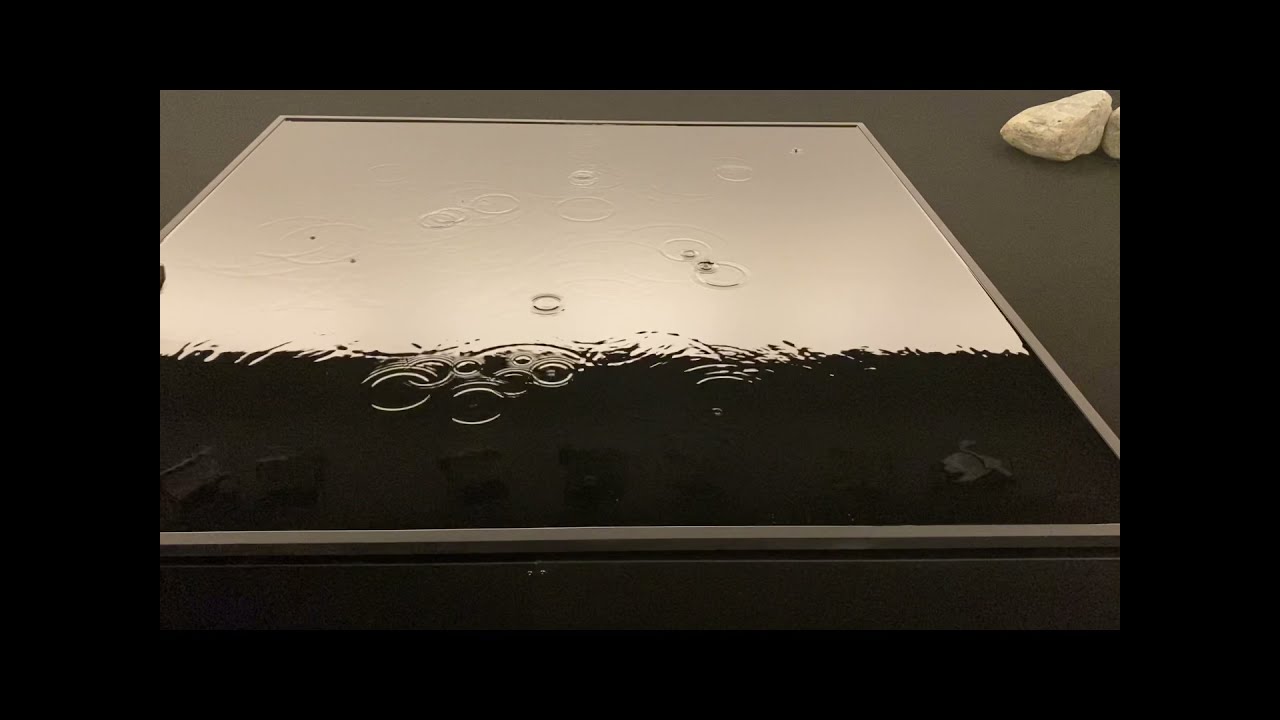 water state 1 - 坂本龍一 + 高谷史郎