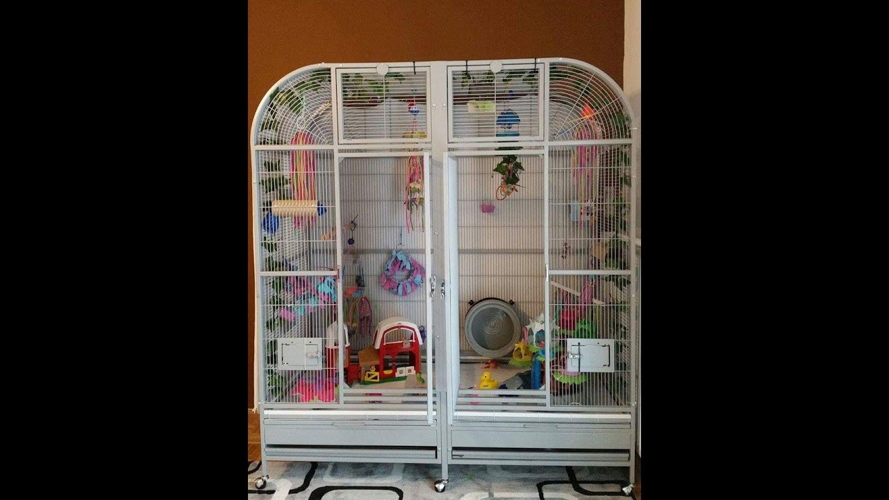 Sugar Gliders Cage Tour