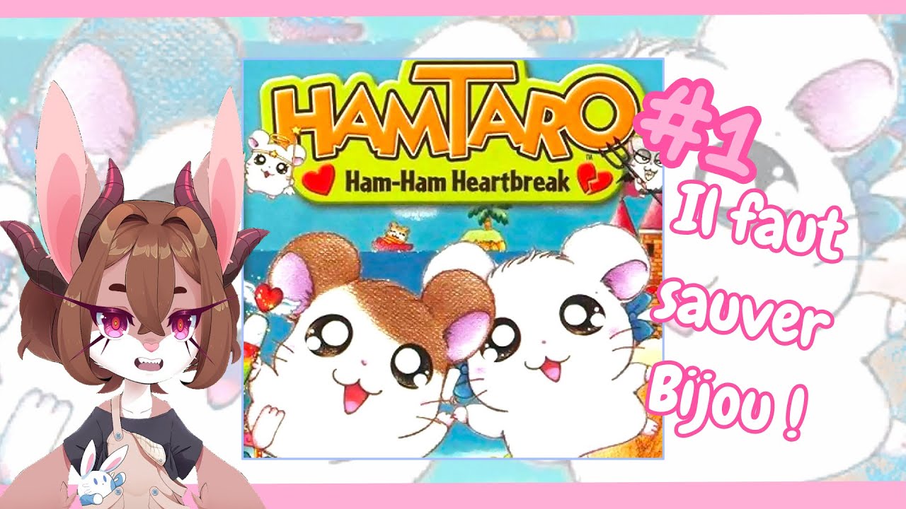 Retour dans le jeu de mon enfance ! [HAMTARO HAM-HAM AUX COEURS BRISES - #1]