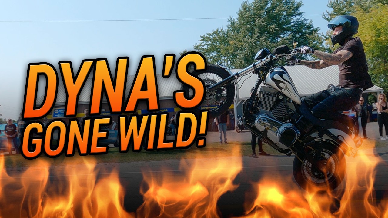 Harley Davidson Dyna Madness!