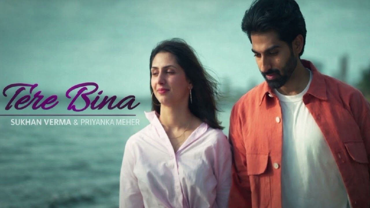 Tere Bina Song 😍😍🎶.