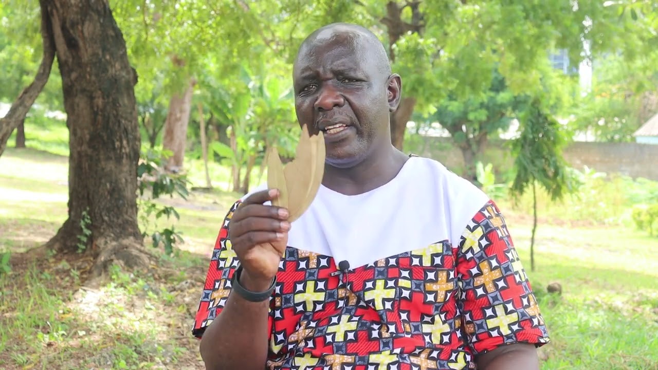 TUMIA CLOVES (KARAFUU 21) NA MAJANI YA 