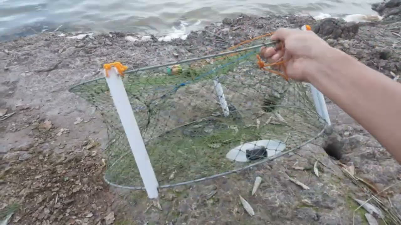 PERANGKAP KEPITING BAKAU UNIK HASIL MODIFIKASI || BUBU KEPITING