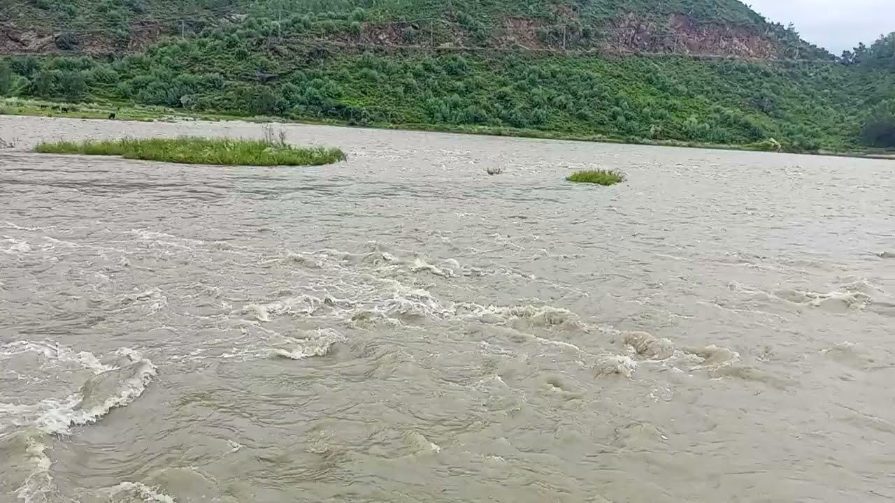 Swat selab