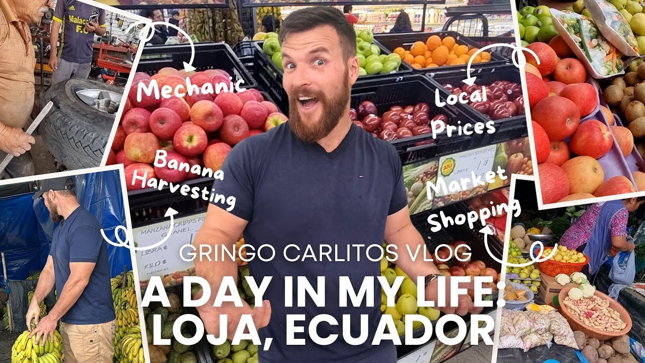 Prices in Ecuador: Exploring Local Markets and Affordable Shopping in Loja