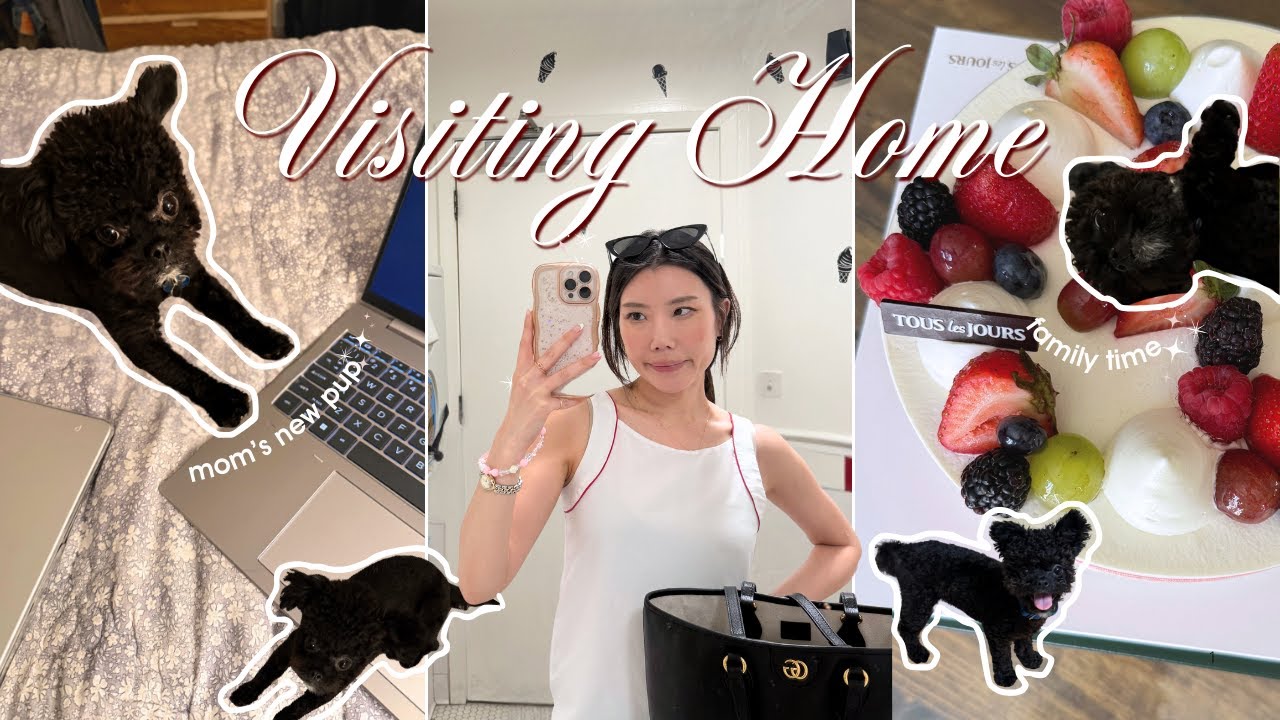 VISITING HOME IN CA ☀️ | my mom’s new puppy, planning for Disneyland, random things at home!