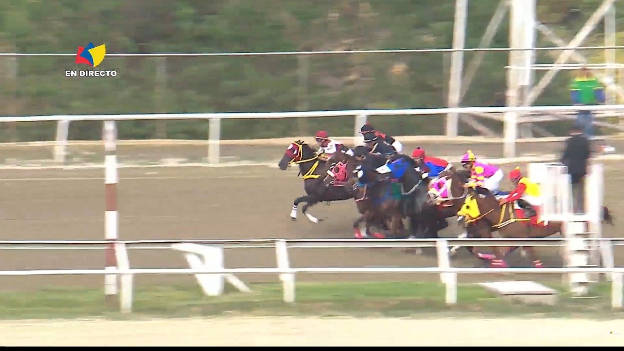 8ª. carrera | 4ª. válida | AMBOISE | Hipódromo La Rinconada | Reunión 08 | 2026
