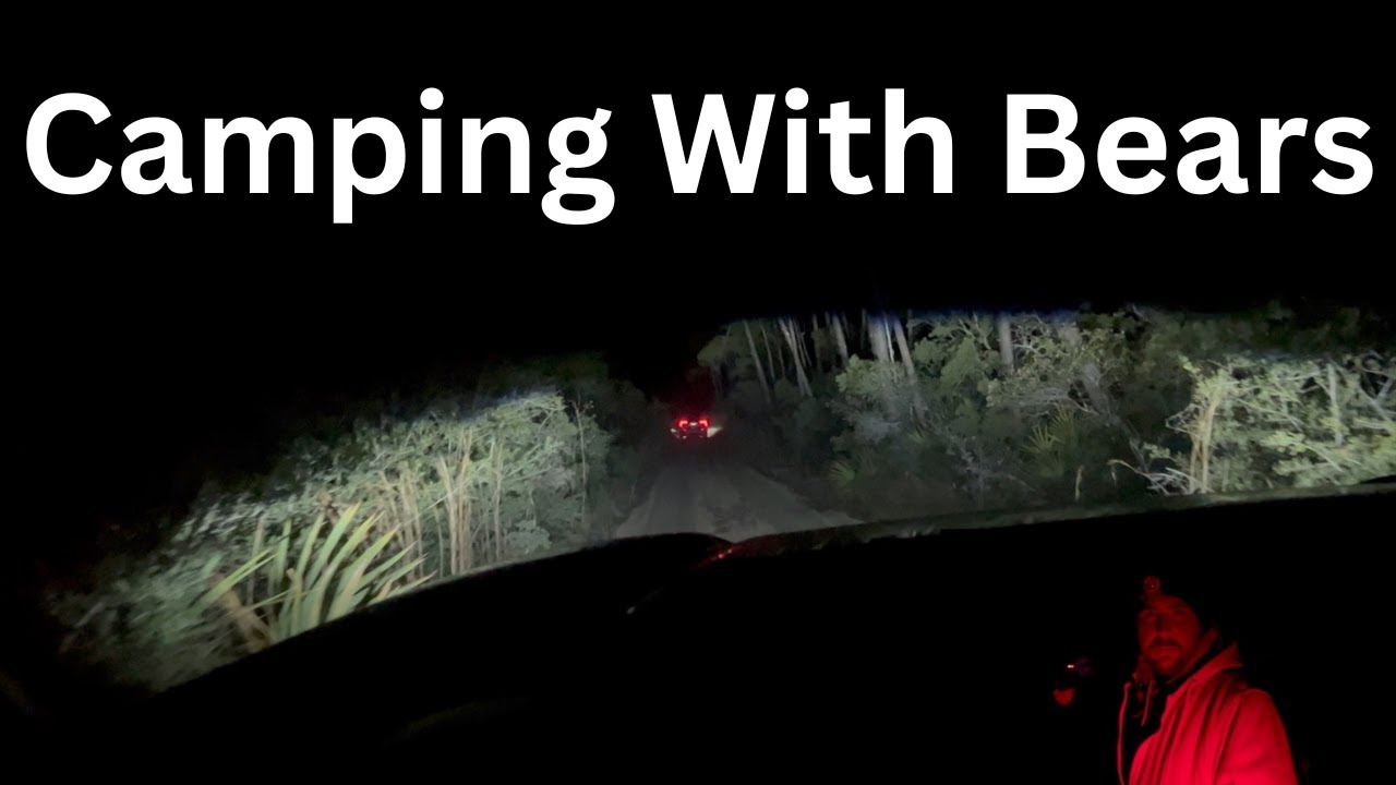 We Camped With Bears Then Returned To The Place Of My Bigfoot Sighting!