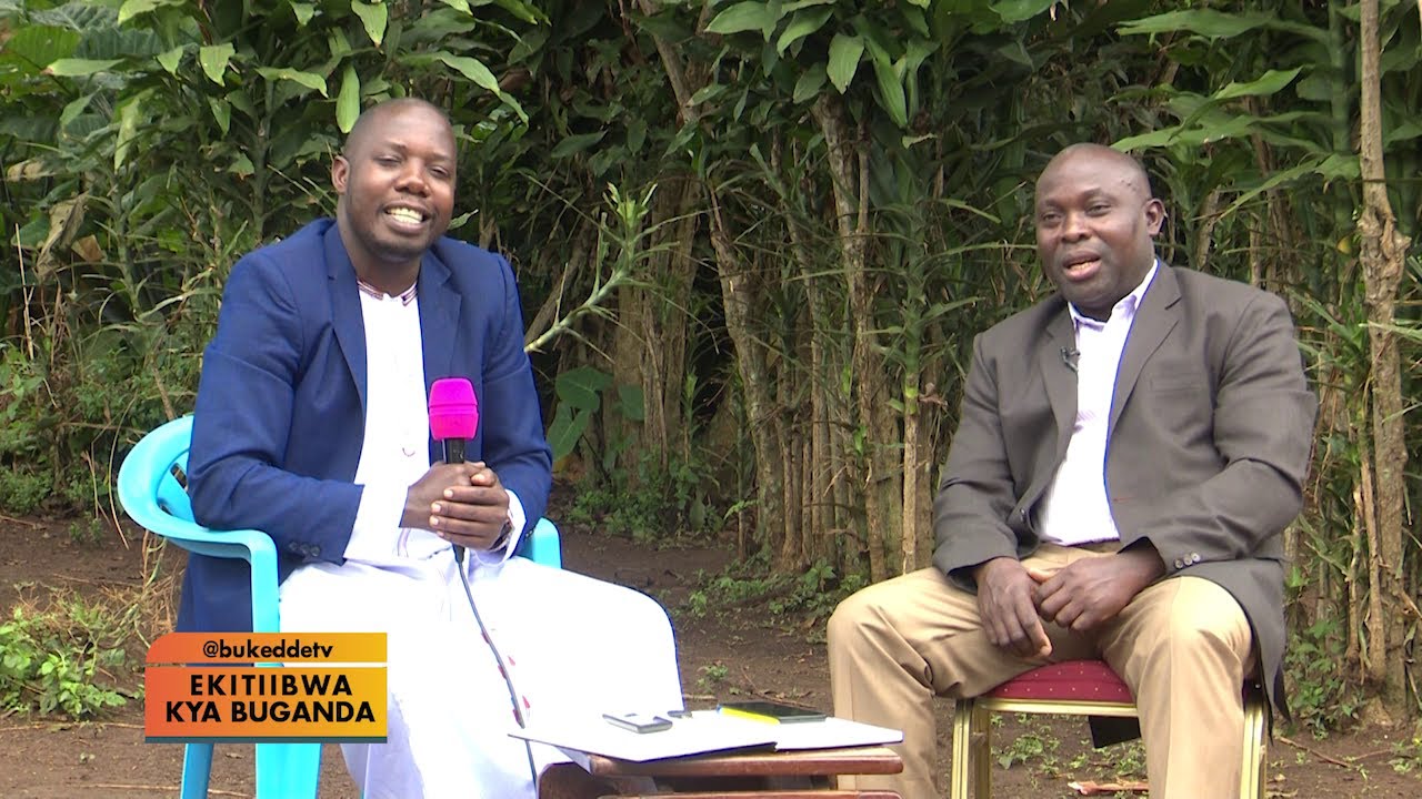 Ekitiibwa: Kya Buganda Okimanyi nti omugga mayanja baazaala muzaale Ekitundu BB