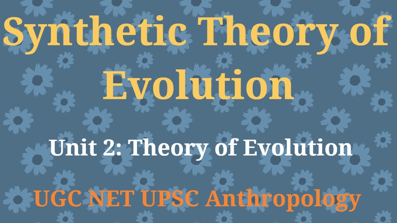 Modern Synthetic Theory of Evolution Explained