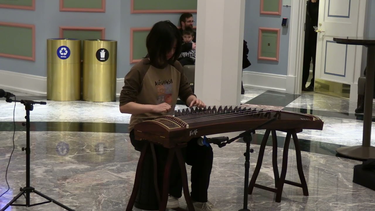 MVI 0445 Guzhang @ Palladium