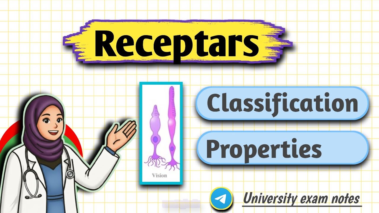 Receptor Physiology l Central Nervous System #cns #physiology @WhiteCoatEducator