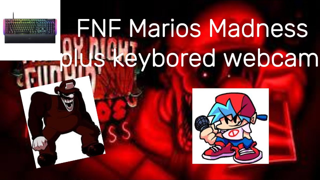 MR foxer playing marios madness