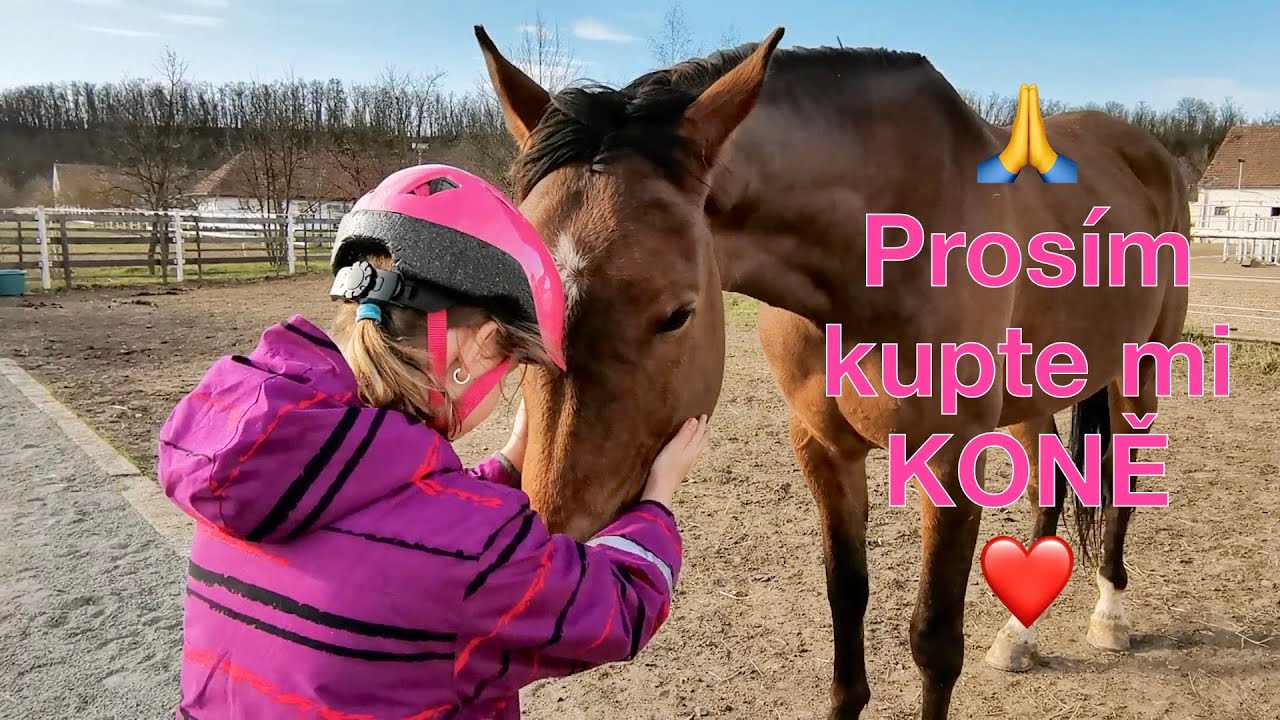 Mami, tati já chci svého koně 🙏 Co všechno kůň potřebuje a dárek pro vás 🎁 🐎 VLOG