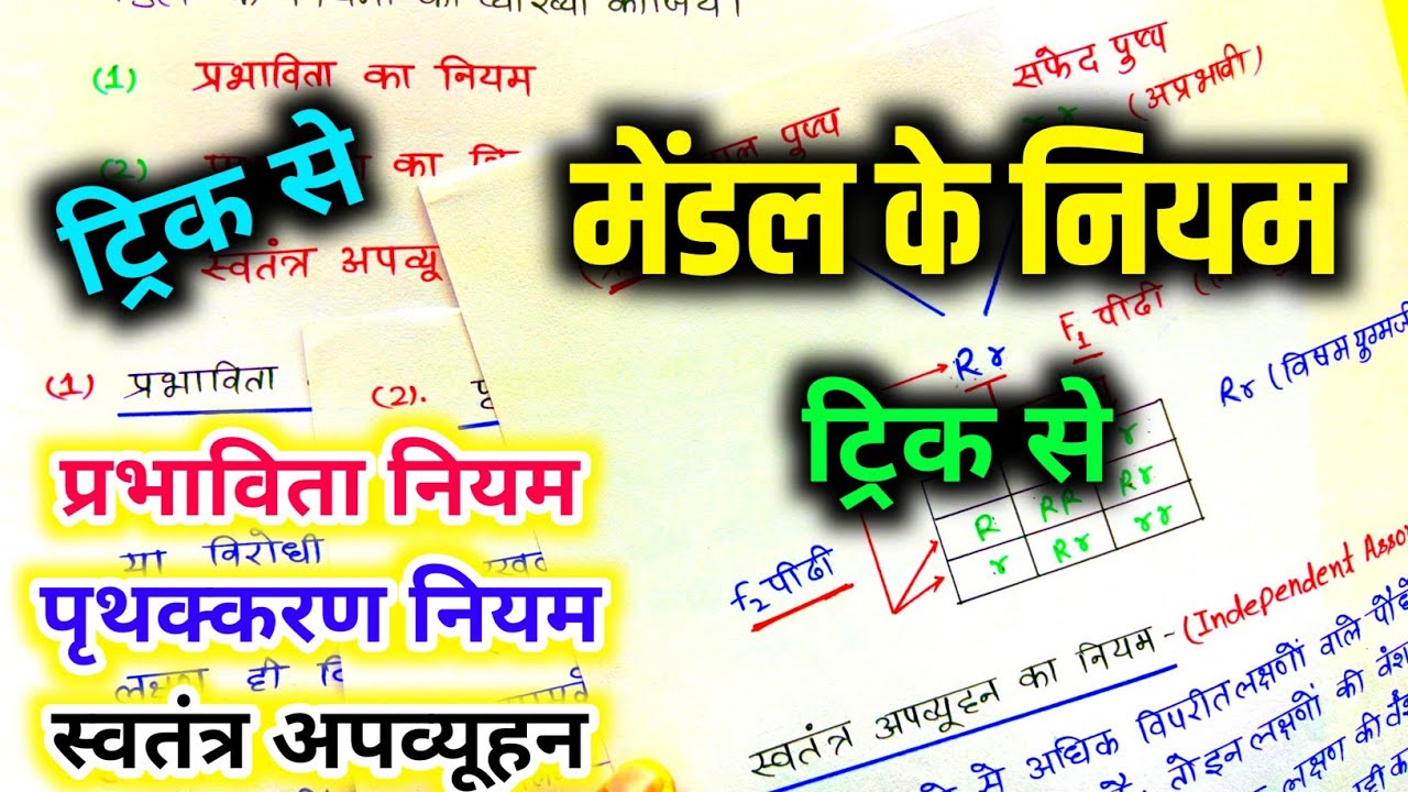 मेंडल के नियम / mendal ke niyam class 12th / प्रभाविता नियम पृथक्करण स्वतंत्र अपव्यूहन नियम 🔥