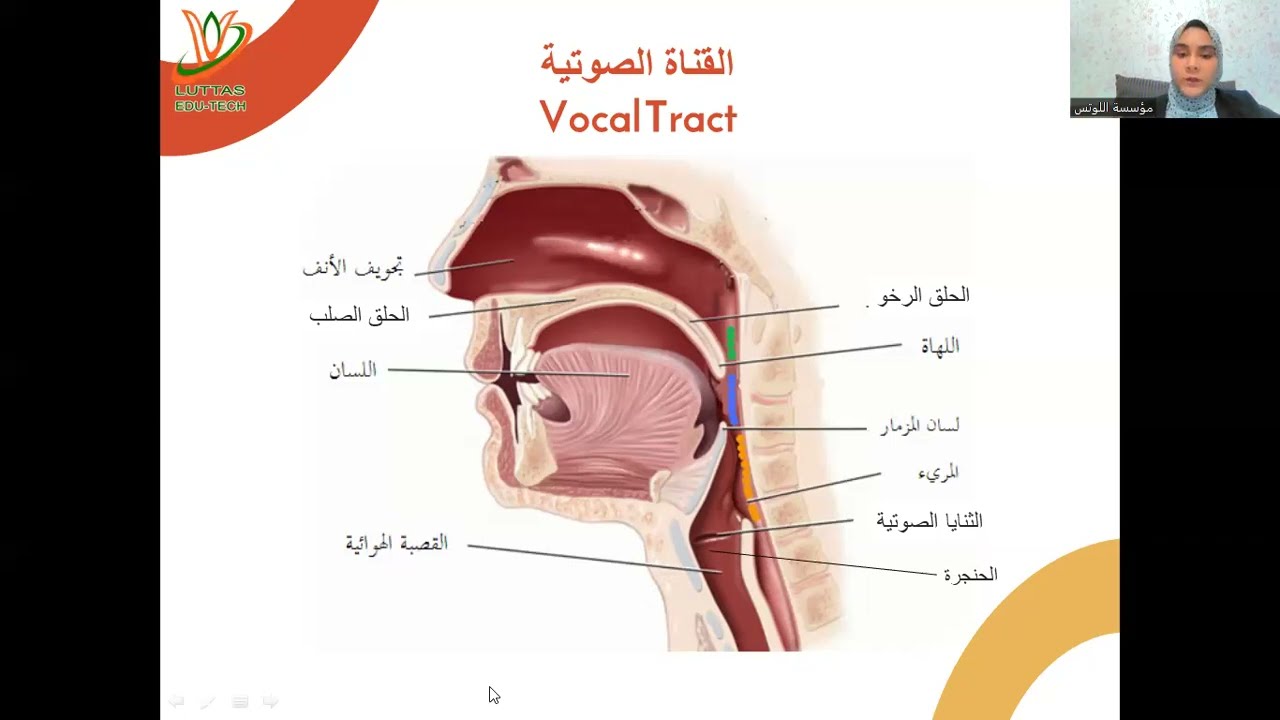 محاضرة صفات الاصوات ج1 دورة التخاطب (التكنولوجية) اللوتس بالتعاون مع كلية البنات جامعة عين شمس