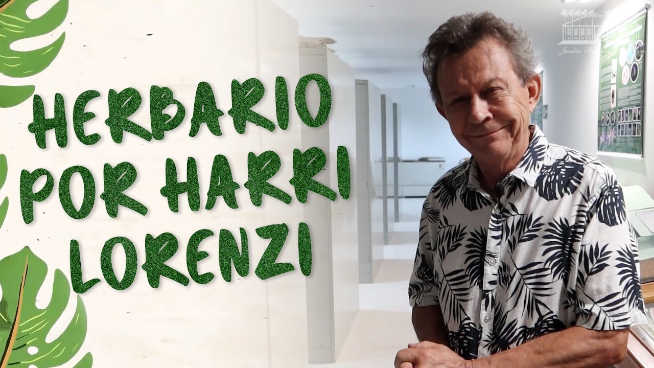 Conheça o Herbário do Jardim Botânico Plantarum | Com Harri Lorenzi | Jardim Botânico Plantarum