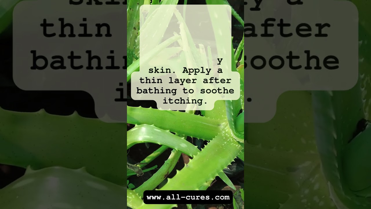 #ayurveda