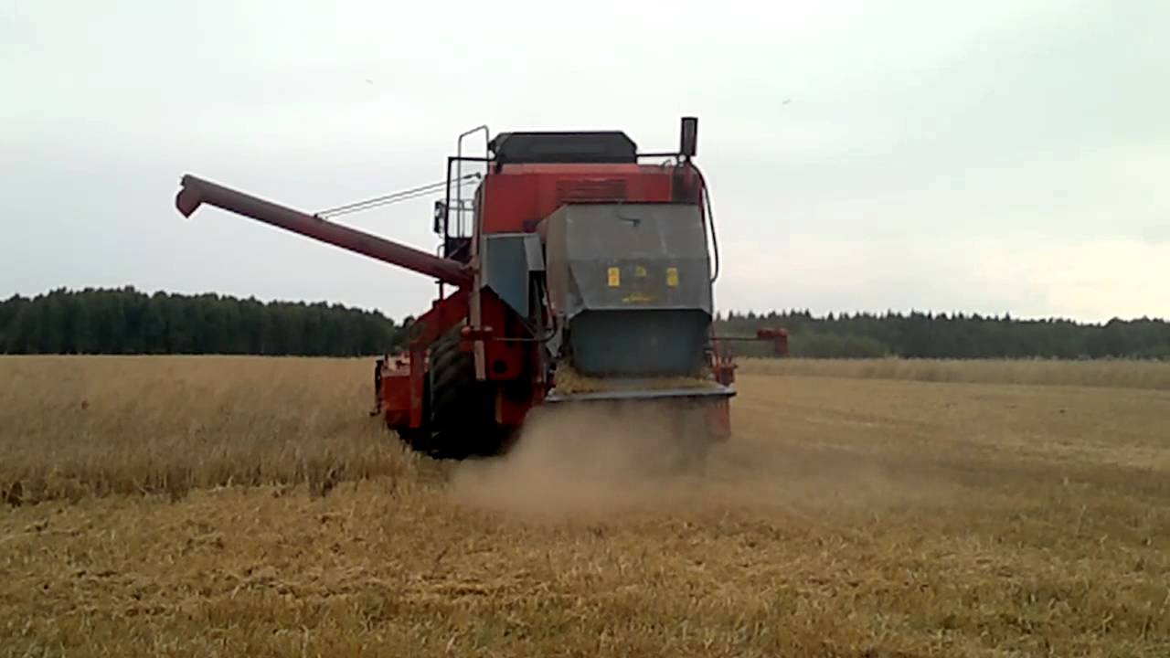 Jęczmień 2012- Bizon Super Z056