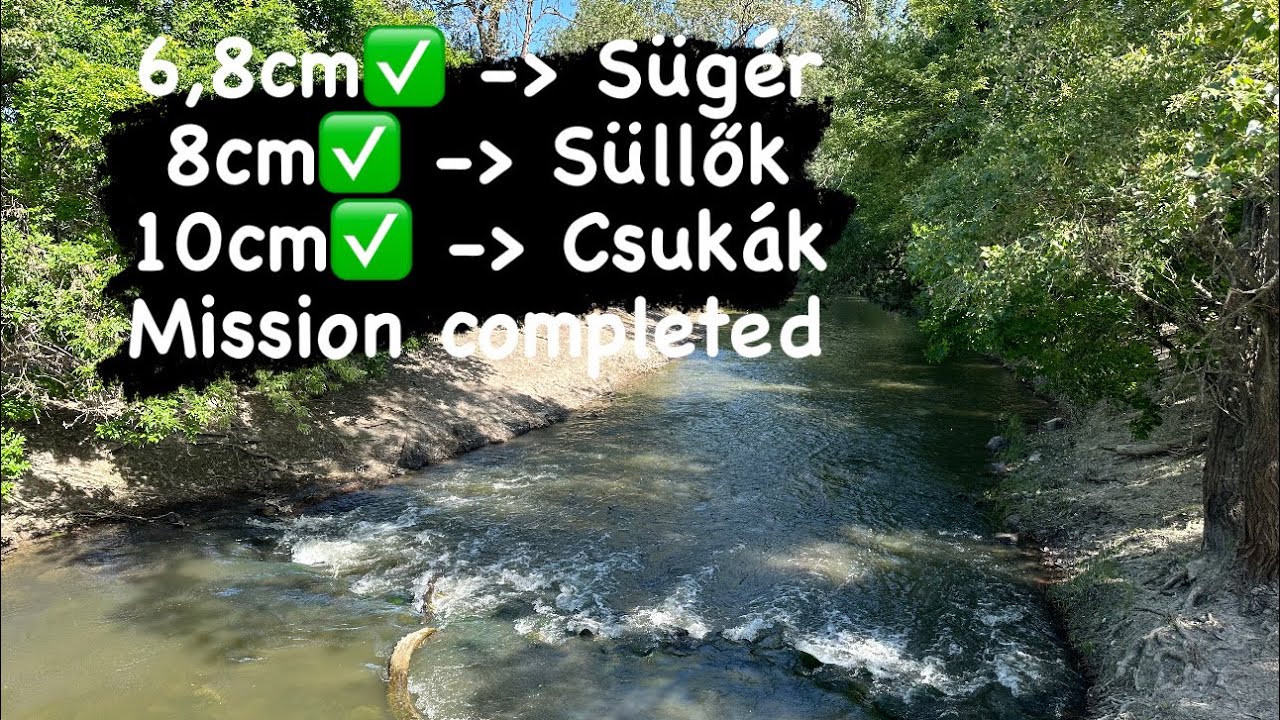 Sügér, Süllők, csukák, ugyan azzal a csalival a Zagyván!