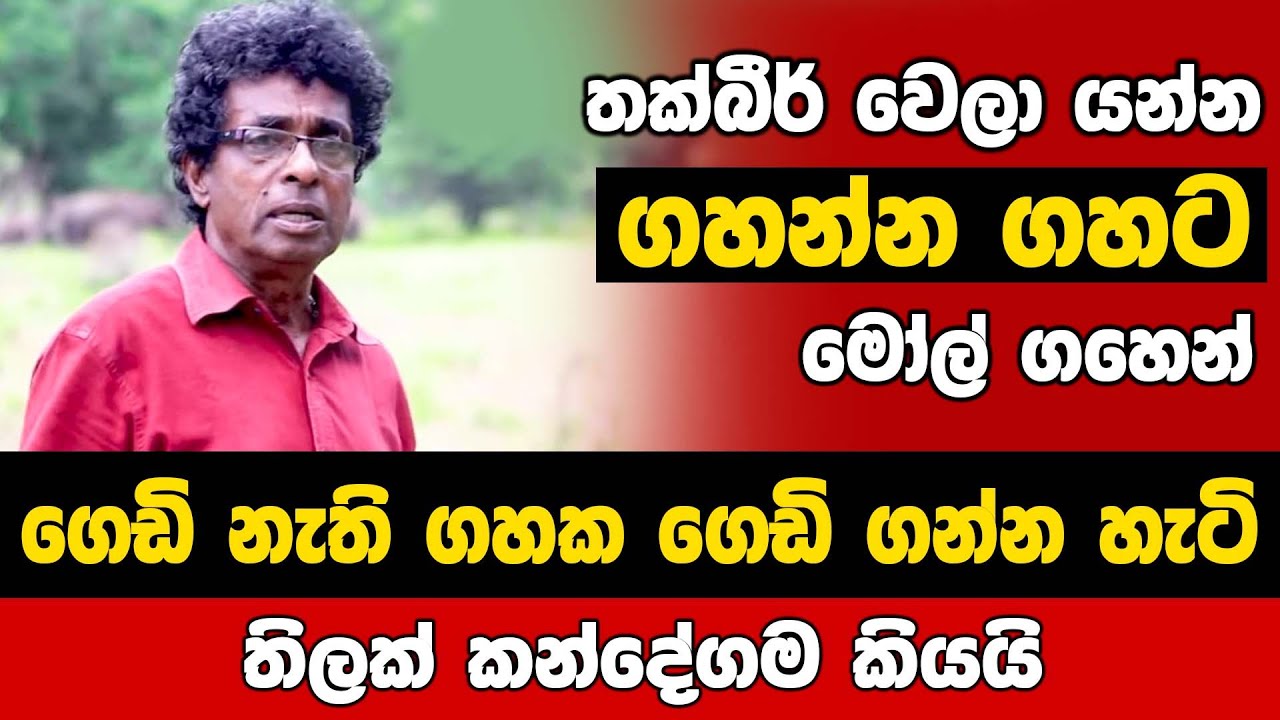 තක්බීර් වෙලා යන්න ගහන්න ගහට මෝල් ගහෙන් | ගෙඩි නැති ගහක ගෙඩි ගන්න හැටි l Thilak Kandegama - EP 02