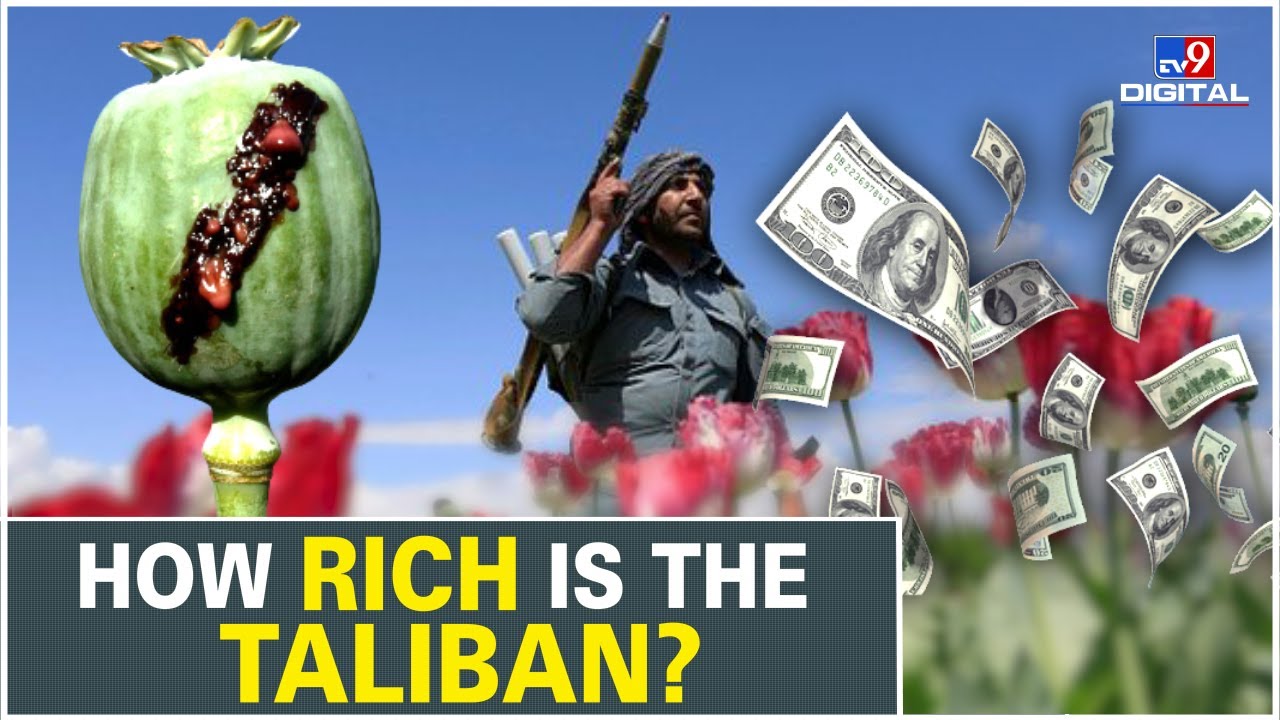 Where does the Taliban get its money and weapons from?