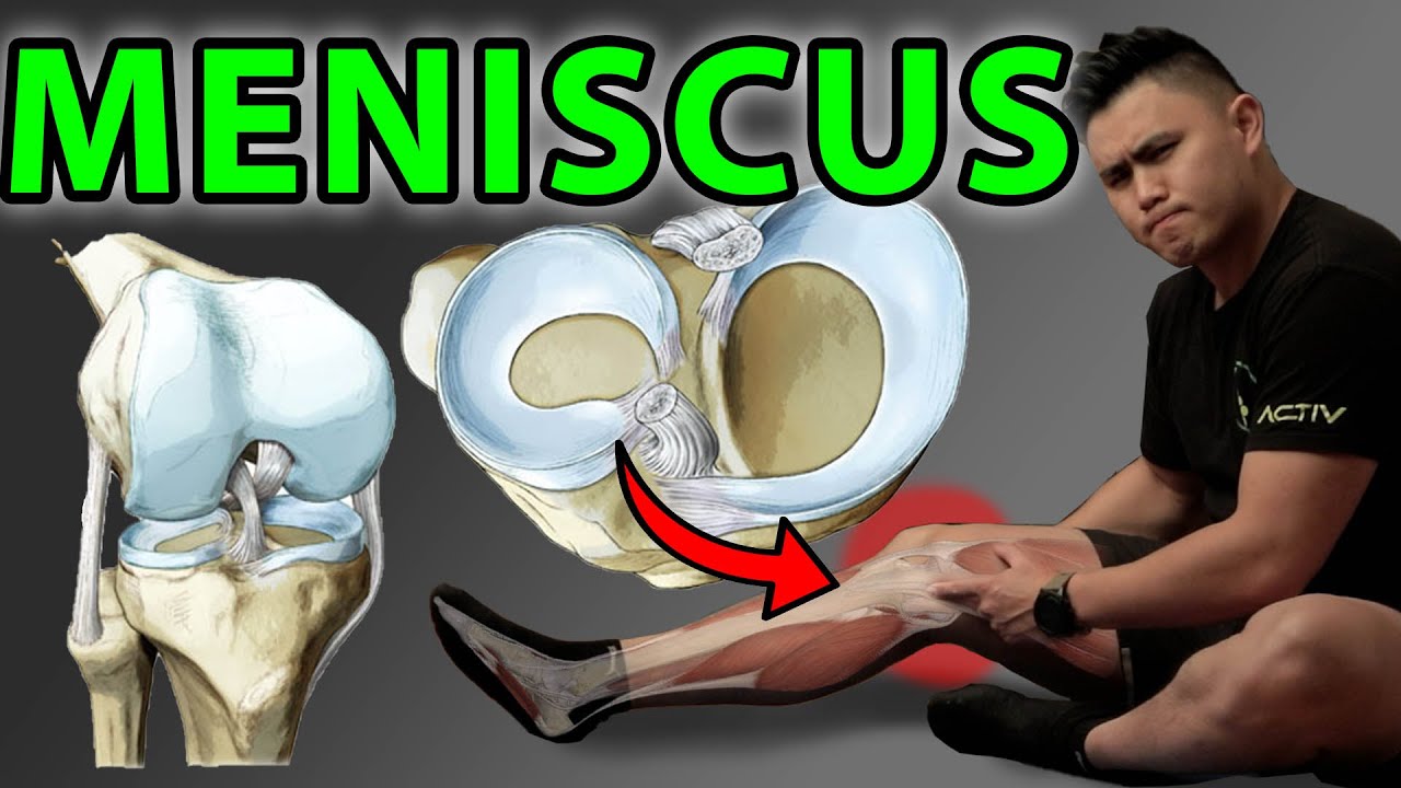 5 Best Meniscus Knee Exercises and Tests for Quick Recovery