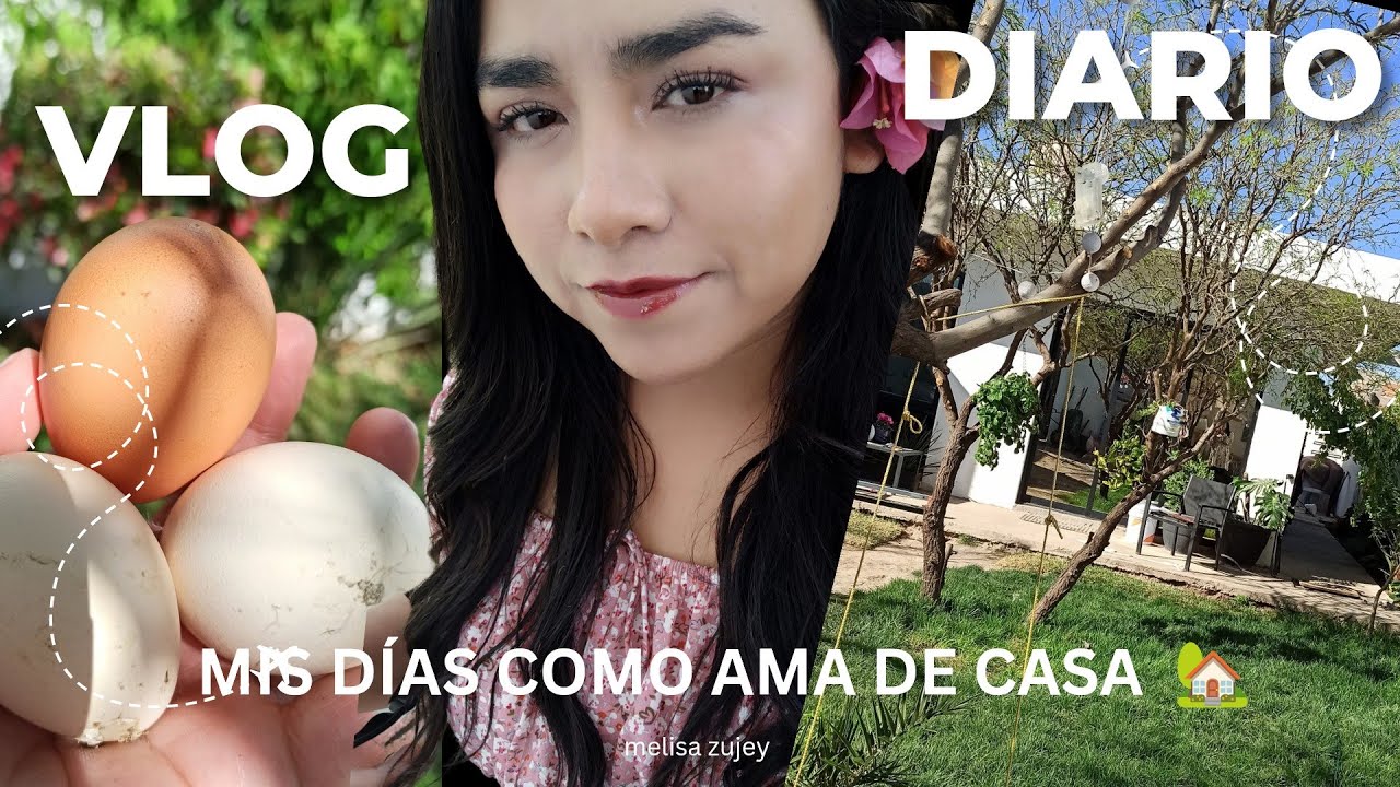 Una semana  conmigo: vida de ama de casa | limpieza profunda , Rancho, compras y cocina casera”