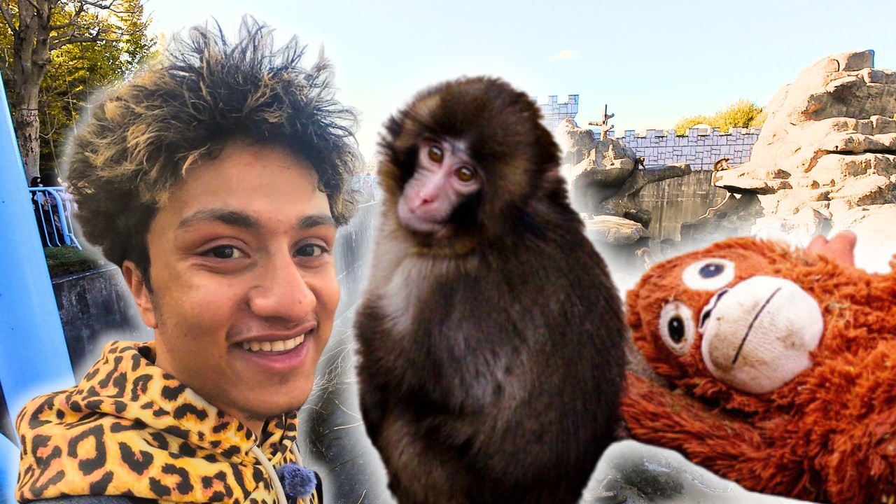 Going to see Punch The Monkey in Tokyo!