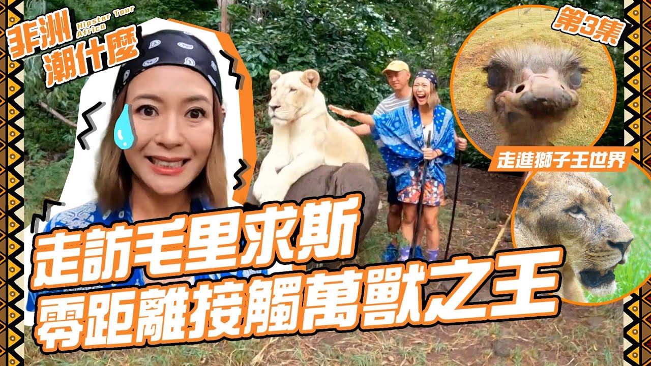 非洲潮什麼 ｜ 走訪毛里求斯  零距離接觸萬獸之王 ｜ 毛里求斯 ｜ 梁芷珮 ｜ 潮什麼 ｜ 非洲 ｜ 旅行攻略