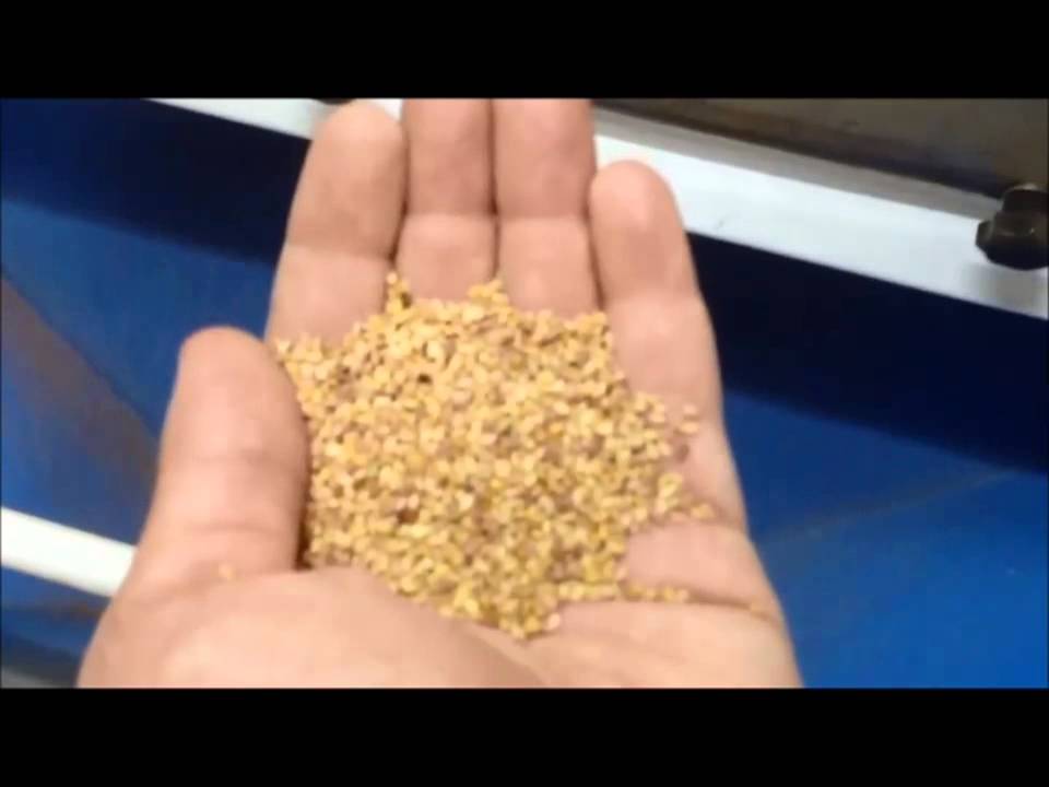 Talay Makina - Sesame Seed Cleaning Line