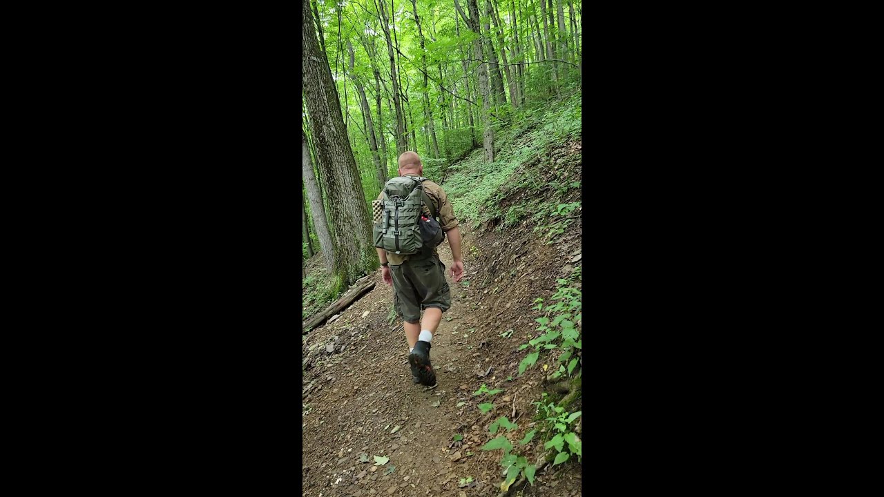 Mystery Ranch 2 Day Assault Pack