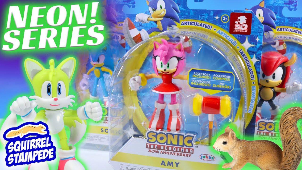 Sonic the Hedgehog Amy Rose and NEON Action Figures 30th Anniv. Series Review