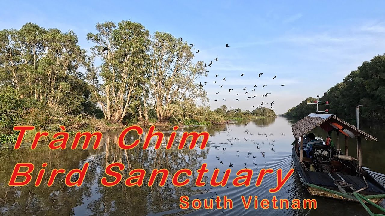 Tràm Chim National Park